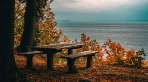 Preview wallpaper autumn, benches, table, sea, shore, trees, foliage