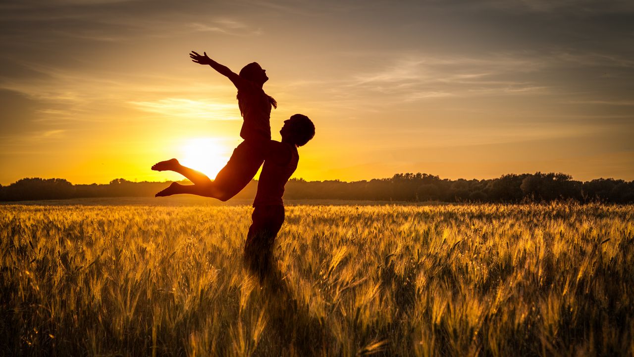 Wallpaper couple, love, sunset, field, grass, silhouettes
