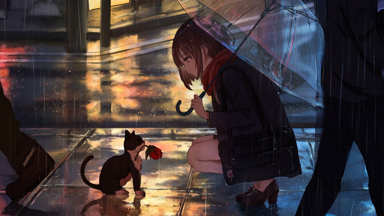 Wallpaper girl, kitten, flower, anime, street, rain