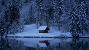 Preview wallpaper lake, forest, snow, winter, trees