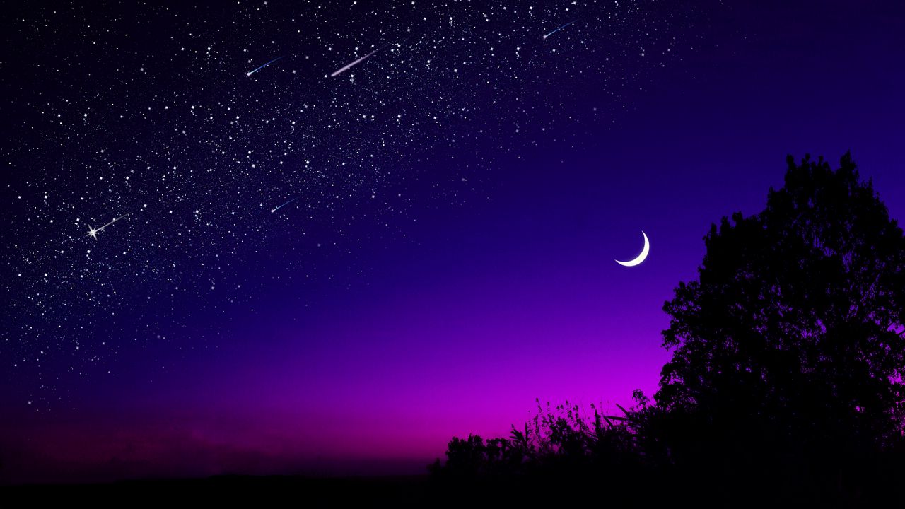 Wallpaper moon, tree, starry sky, night, stars, dark