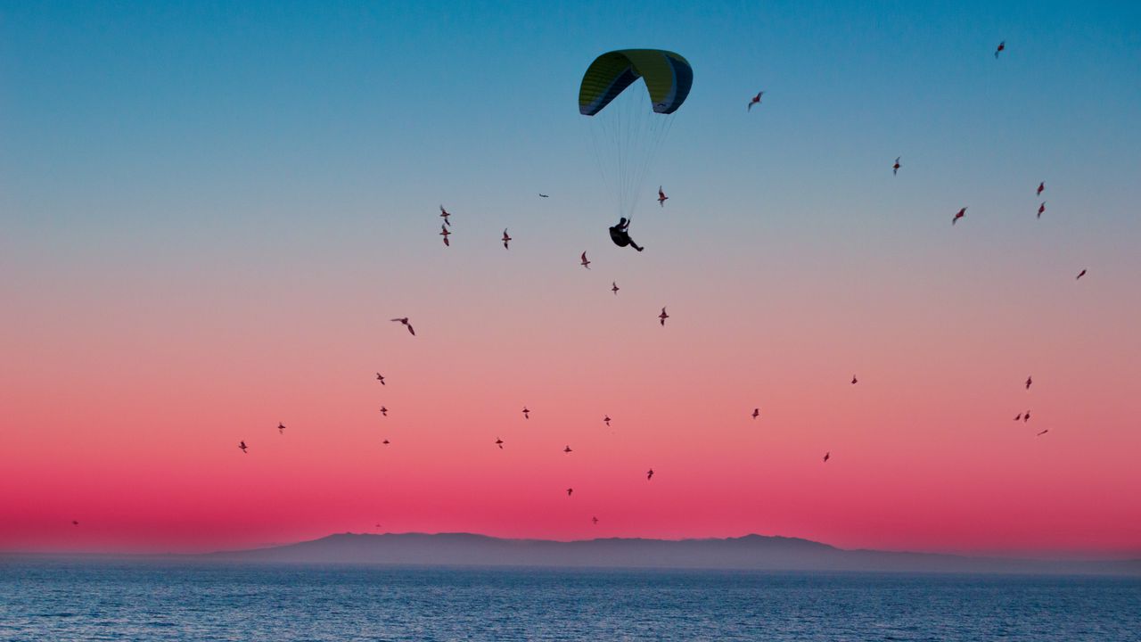Wallpaper paragliding, parachute, sea, flight, birds, horizon