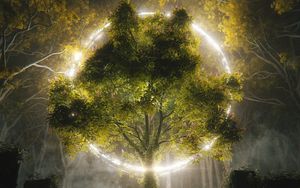 Preview wallpaper tree, circle, glow, art