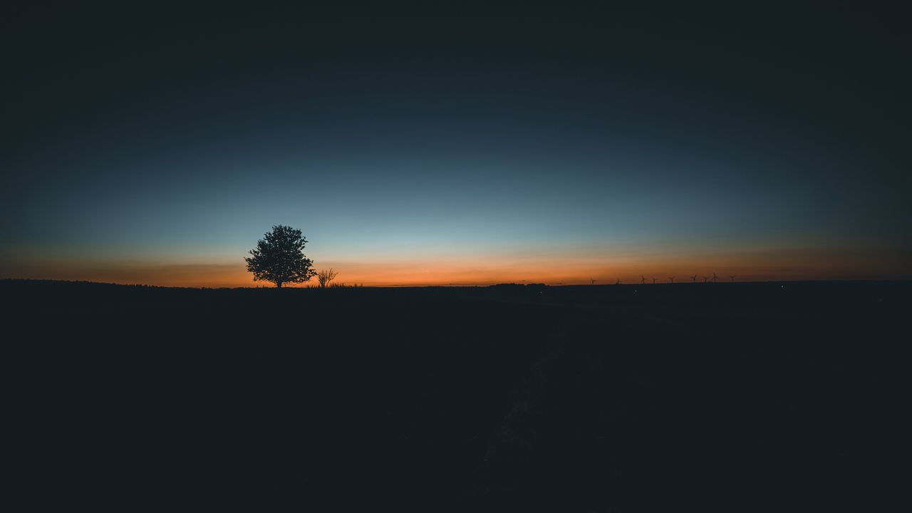 Wallpaper tree, horizon, minimalism, sunset