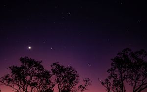 Preview wallpaper trees, night, stars, sky, purple