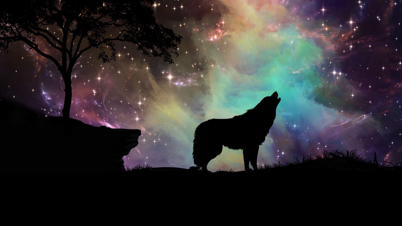 Wallpaper wolf, starry sky, silhouette, art